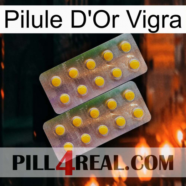 Vigra Gold Pill new10